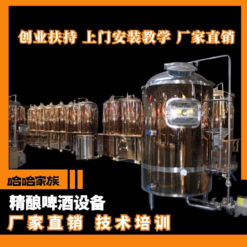 啤酒精酿加工设备 精酿啤酒制作设备 精酿啤酒酿造机器