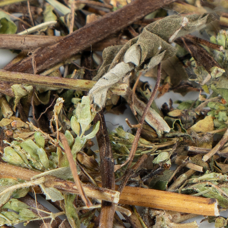Tu Yin Chen (Artemisia capillaris / Herba Artemisiae) — Dried Yin Chen Herb, 500g quality and texture