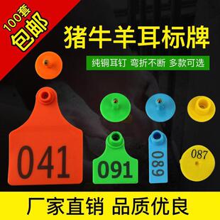 ţ�������i�������ӈA�ζ�������ˎ��֘��ƈA����ӛ̖�Ƅ������