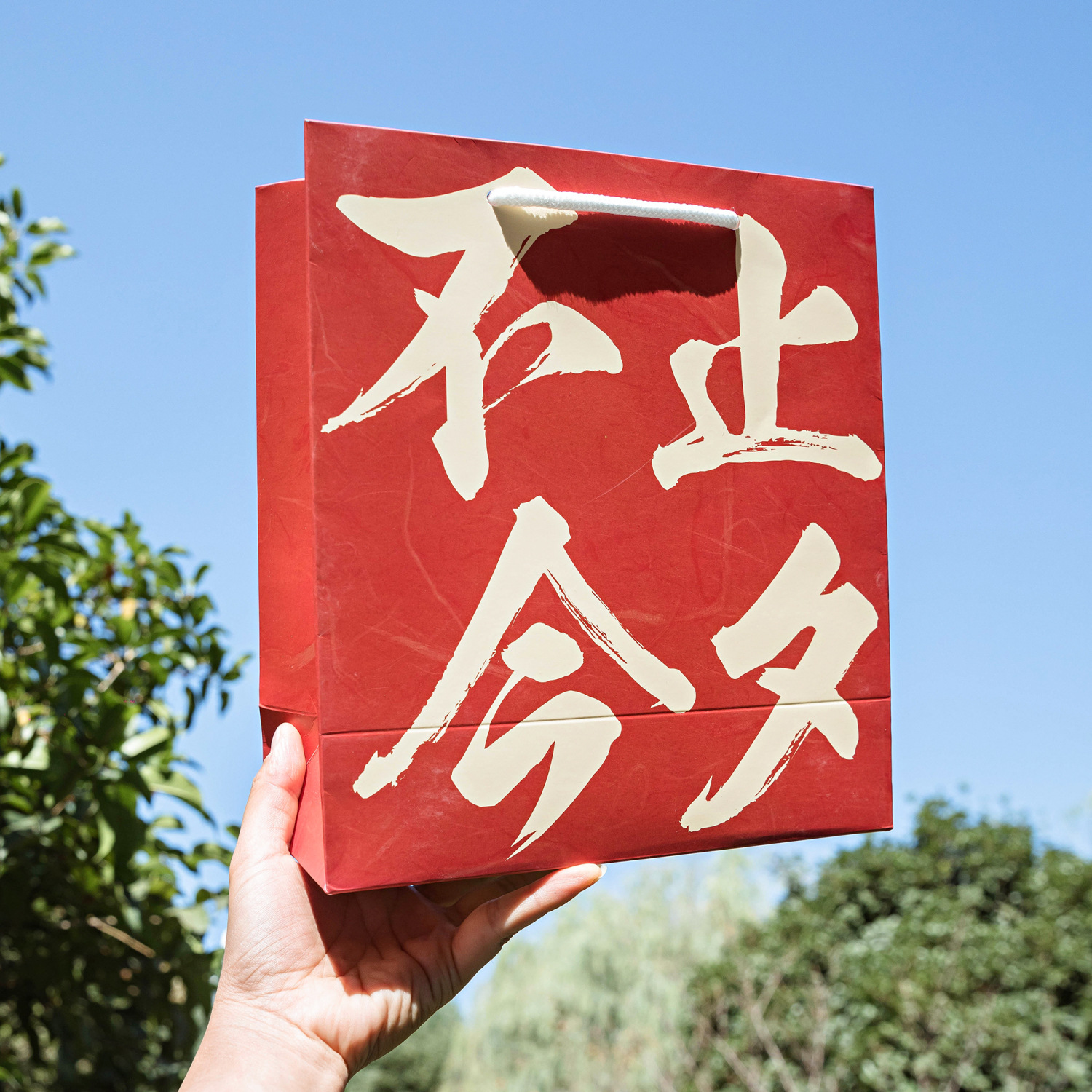 Momo Tarjeta blanca bolsa de regalo de cumpleaños serie Jile bendición creativa embalaje de regalo de cumpleaños bolso de almacenamiento