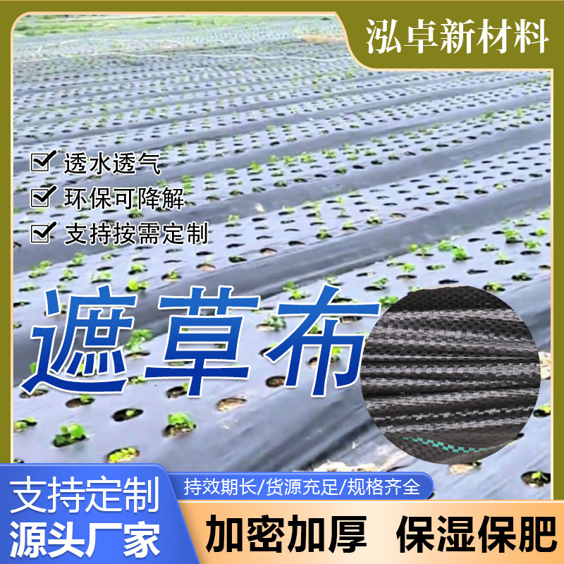 Factory Wholesale Customized Perforated Agricultural Pe Weeding Cloth Greenhouse Orchard Fruit Tree Black Multi-Specification Weeding Cloth Factory Wholesale Customized Perforated Agricultural Pe Weeding Cloth Greenhouse Orchard Fruit Tree Black Multi-Specification Weeding Cloth