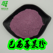 ����ݮ����99% ���_������ ����ݮ�� ʳƷ�� ���߷� �F؛���]