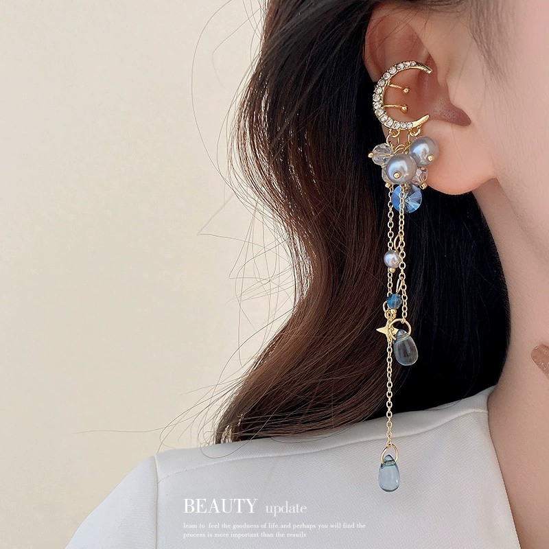Earrings with tassels, light luxury style, no pierced ears, internet celebrity
