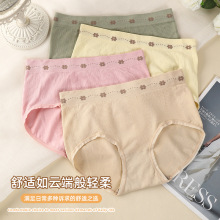 秋冬新款中腰女生内裤 石墨烯抗菌底档无痕透气性感女士三角裤头