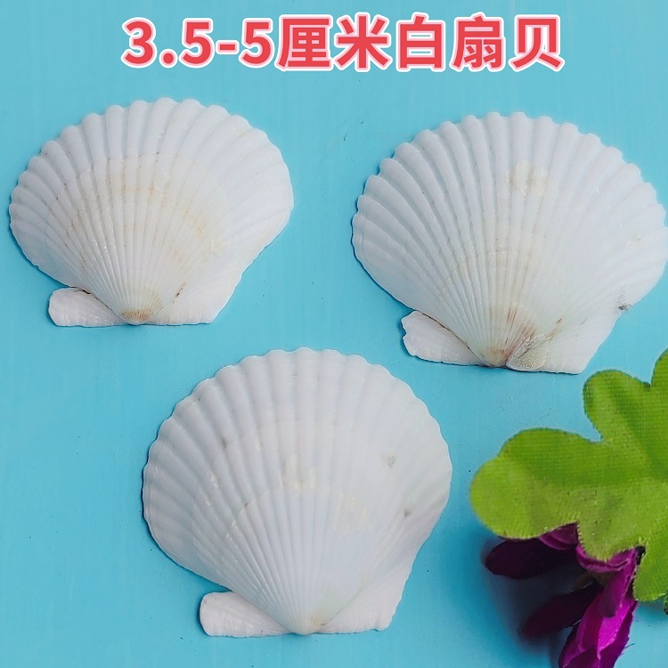 MEITU_20241119_113832393