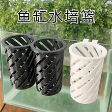 ˮ���~���쾰�bGֲ���~��ֲ��ڒ�ʽ��ֲ�@����ˮ�ݷNֲ��