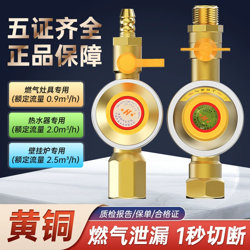 Прямая поставка с завода, газовый самозакрывающийся клапан, утечка газопровода, автоматическое отключение газа, защита от утечки, предохранительный клапан