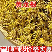 �S���ݸ� ��؛  �S���� �S���� ��ș�� �S���ݸ� ֧��ș�z ��ĥ��