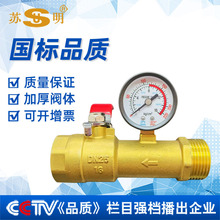 苏明消防末端试水装置喷淋系统消火栓试压球阀带压力表双内丝