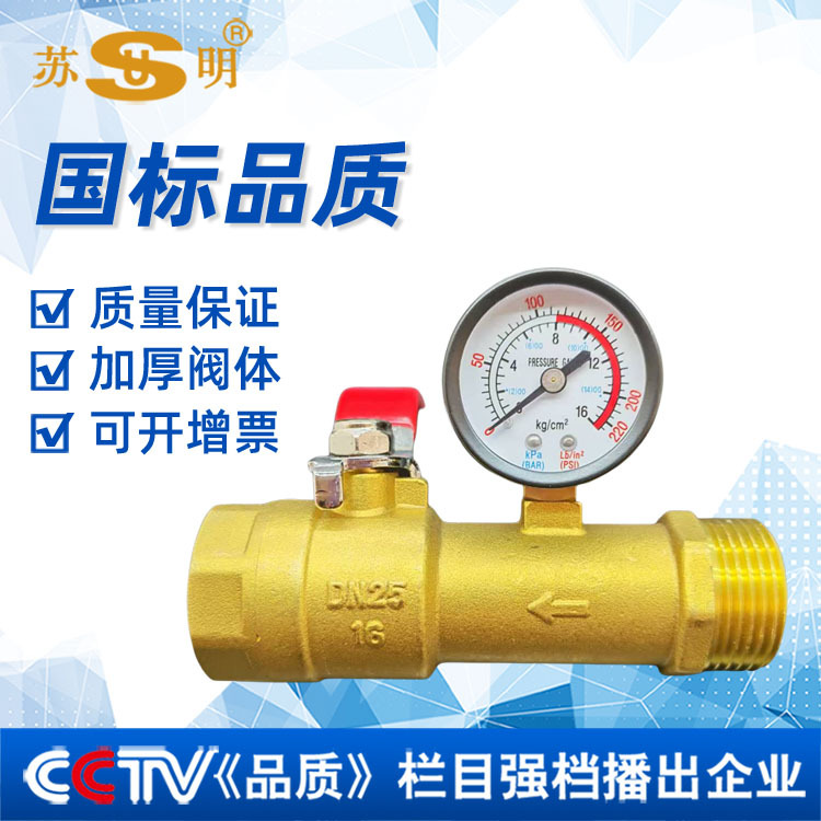 苏明消防末端试水装置喷淋系统消火栓试压球阀带压力表双内丝