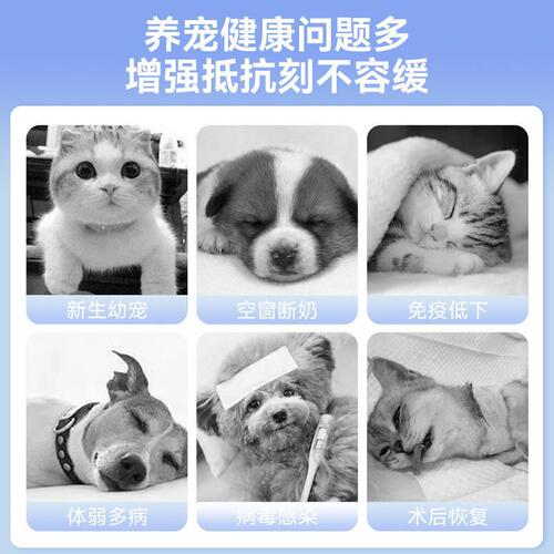 Ocean's Greetings Lactoferrin Capsules Cat Nutritional Supplement Newborn Colostrum Immune Protein for Kittens and Dogs