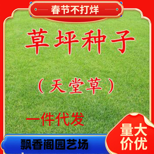 һ�����l���òݷN�� �Ͱ��Ͳ�ƺ�� ���`̤��С�^���@�G���N��