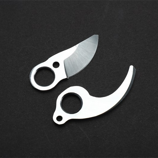 2024-03-26 13:07:29.jpg