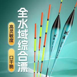一体通纤全水域综合漂高灵敏纳米漂轻口鲫鲤青草鲢鳙黑坑鱼漂浮漂