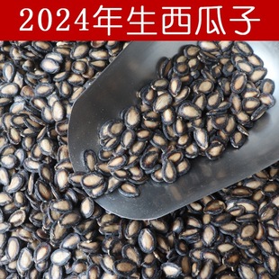 ����������؛2024��ڹ��Ӵ�����ӳ�؛СƬ��Ƭ����ɢ�b���l