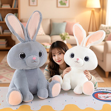 ��������ë�q������������÷�ɫ���Ӄ�ͯ��ż�����L����������ż