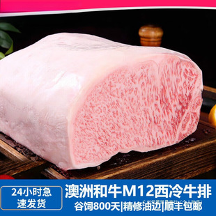 ���޺�ţԭ��ţ�Ź�o�����������lM12��������ȼ��ձ�5Aţ��