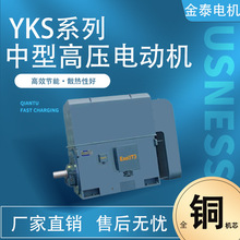 六安金泰电机厂家直销YKS中型高压三相异步电动机高效节能