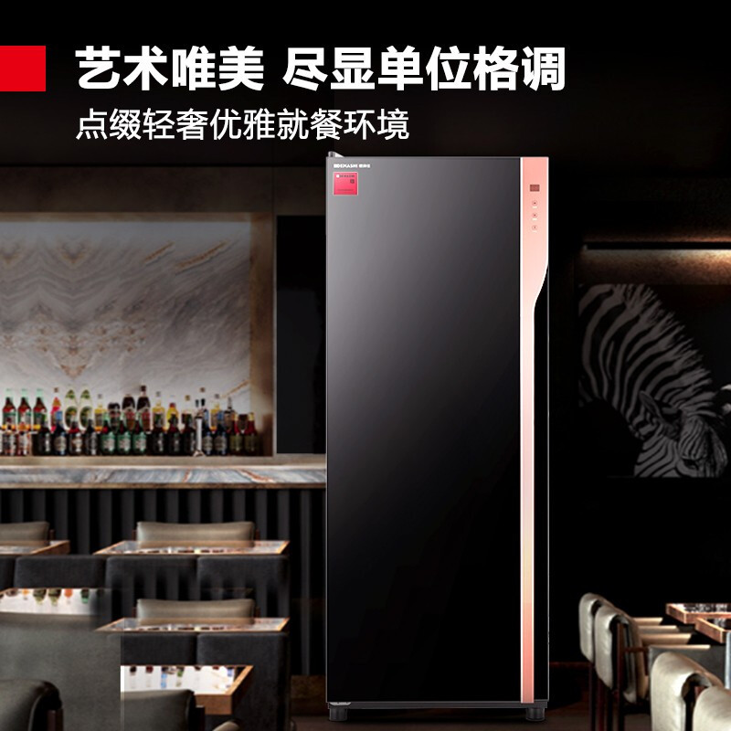 德玛仕消毒柜商用立式酒店餐厅厨房消毒保洁碗柜餐饮杀菌设备厂家