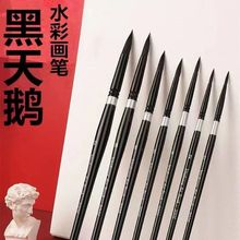 跨境黑天鹅水彩笔松鼠毛数字勾线笔美术生水粉水彩画实木杆勾线笔