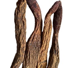 批发中药材锁阳  锁阳个  新货量大从优