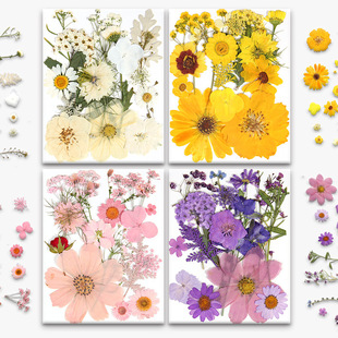 �ɻ�diy���ϰ��ֹ��滨����ֲ��˱��b[����޹Ϟ�T����ӡ��15