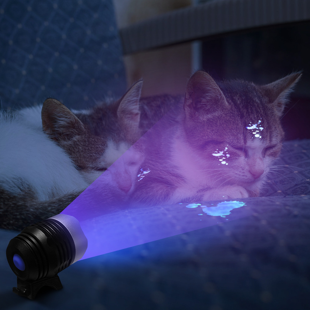 LED UV胶水固化灯USB直插紫外线固化手机维修验钞紫光灯led固化灯