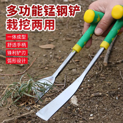 野菜を掘ってニンニクの花の道具を掘って、鉄のシャベルを植えて野菜の園芸を草取りします。