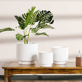 中温陶瓷直筒花盆大套三亚马逊跨境热款莫兰迪兰花陶瓷花盆批发