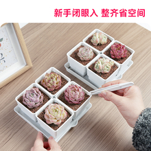 美莳种多肉植物的花盆组合塑料创意小白方带托盘一体控根王之