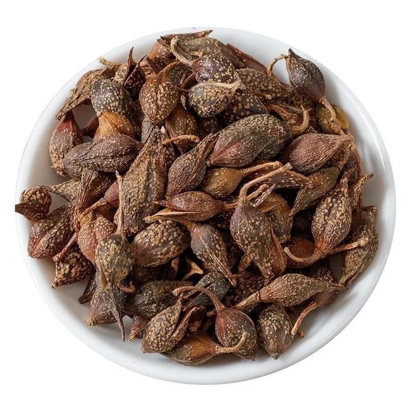 Dried Forsythia Fruit Lian Qiao 500g Bag Traditional Chinese Herb for Decoctions and Herbal Teas in use