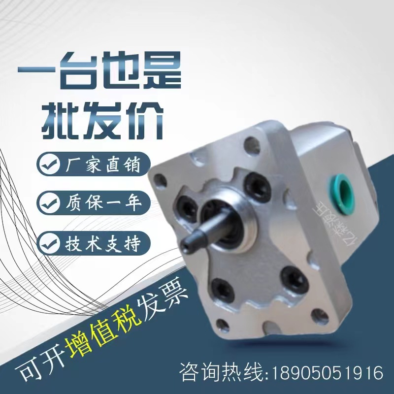 上海大众SDH齿轮泵CBD-F23/F25/F28/F30/F32/F36H6-CC液压油泵