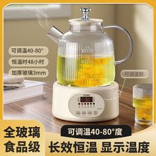 多功能全玻璃养生壶家用分体式煮茶壶小型煮茶器烧水壶恒温花茶壶