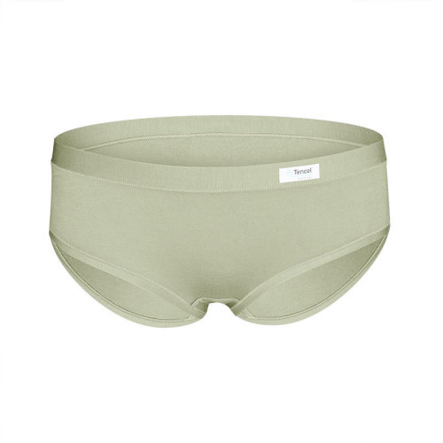 Shenzhen Zhiqu Girls Breathable Briefs Thin High Elastic Hip Covering Seamless Modal Cotton Crotch Women's Low Waist Briefs