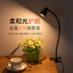 クロスボーダークリエイティブ LED クリップ学生作業目の保護読書寝室ベッドサイド寮 USB ランプメーカー直接供給