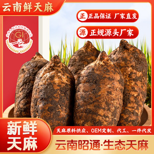 ���r���������ͨС�݉��`֥��ș�����l���ЙC�����־�rƷ�F��