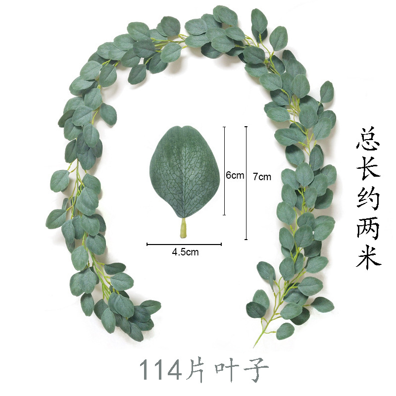 藤条1号 448叶 112花 24 (3).jpg