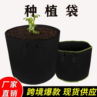 美植袋 跨境黑色无纺布美植袋植物袋植树生长园艺花盆毛毡种植袋