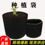 生长植树植物跨境美植袋