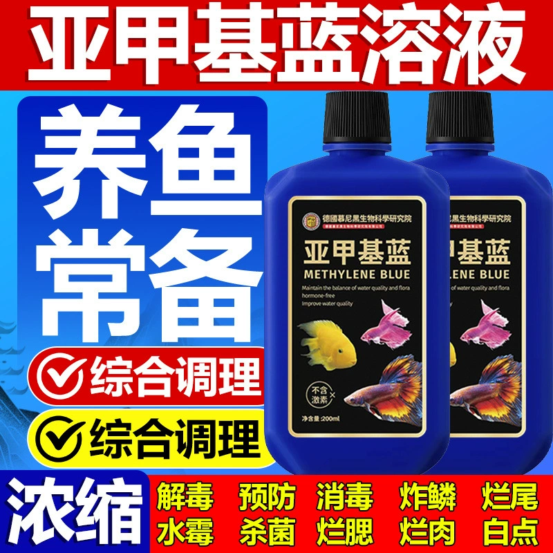 Аквариумные декоративные рыбки, метиленовый синий, раствор высокой концентрации, стерилизация и дезинфекция аквариума, грибок в воде, болезнь белых пятен, сетка, жареные чешуи, жареные жабры