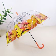 长柄大号透明雨伞阿波罗伞蘑菇公主伞包边透明伞厂家外贸跨境专供