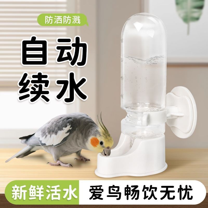 New parrot automatic waterer bird supplies kettle feeder bird and kettle bird waterer bird cage 2