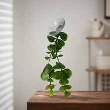 ����ֲ������ˮ�������ؐ���ݡ��ڒ��ٗlˮ�ݰ����b�С�����l