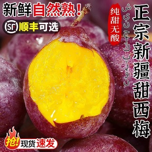 �����½�����÷5�ﮔ�����rˮ���Fժ���m��������÷���Ӵ�����]3