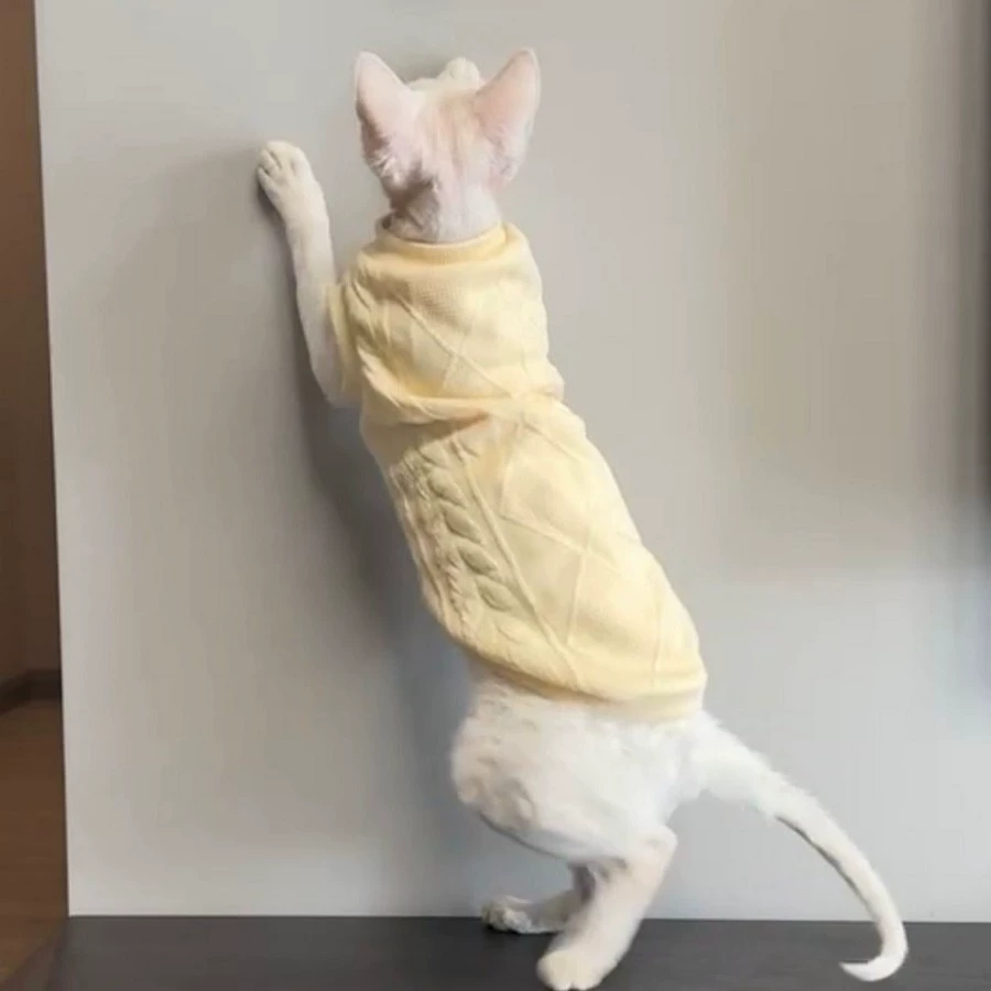 Оптовая продажа 2022 новая одежда для безволосых кошек Сфинкс кошка платье зажим хлопковый жилет осень и зима теплая