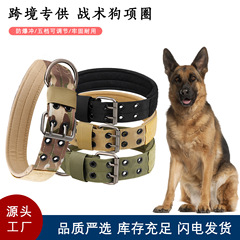 アマゾン戦術ペット犬首輪5段階調節針バックル大型犬首輪牽引調節可能