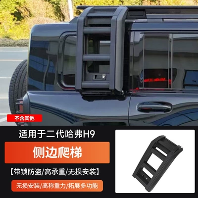 Haver H9 roof rack Roof rack - 24-models-of-haval-h9-side-ladder