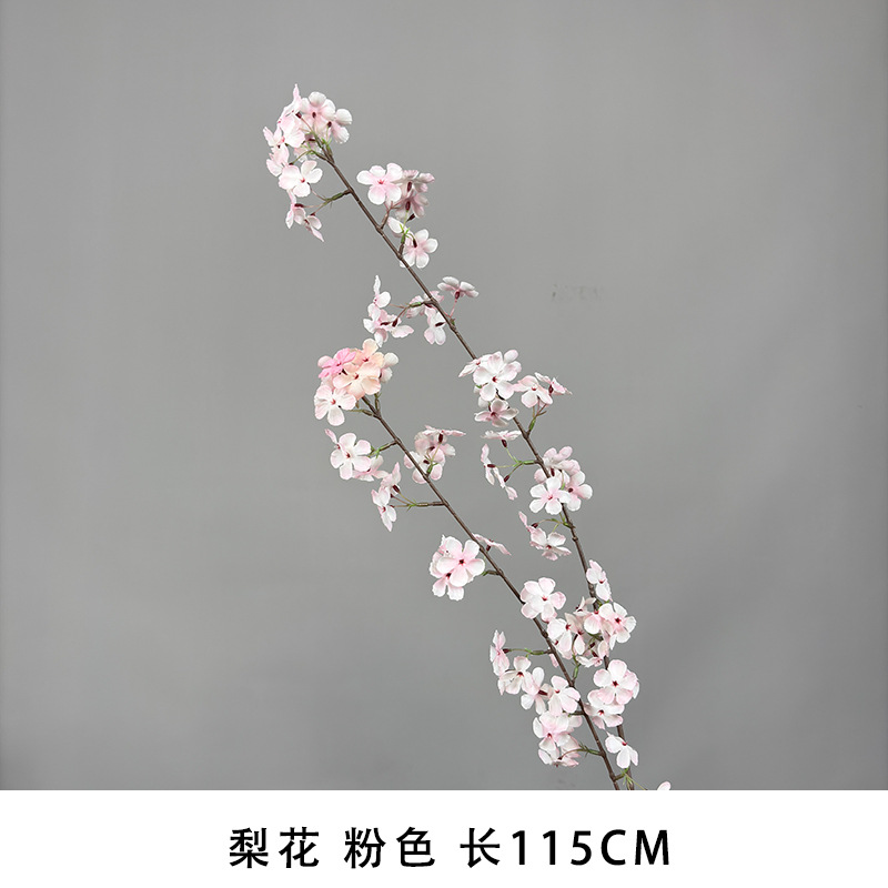 배꽃 핑크