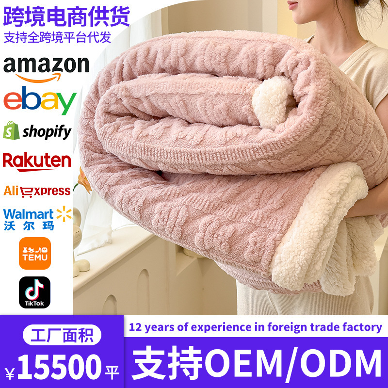 Transfronterizo amazónica cordero invierno grueso de lana de coral de lana de leche invierno pequeña manta manta manta de siesta manta