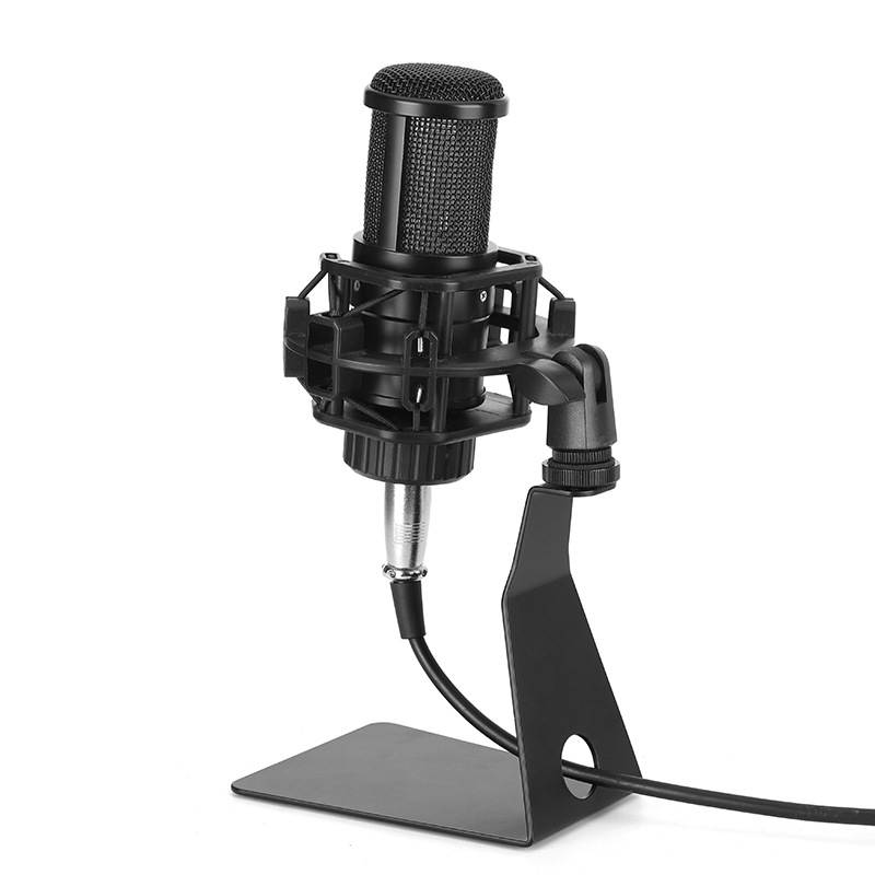 Microphone